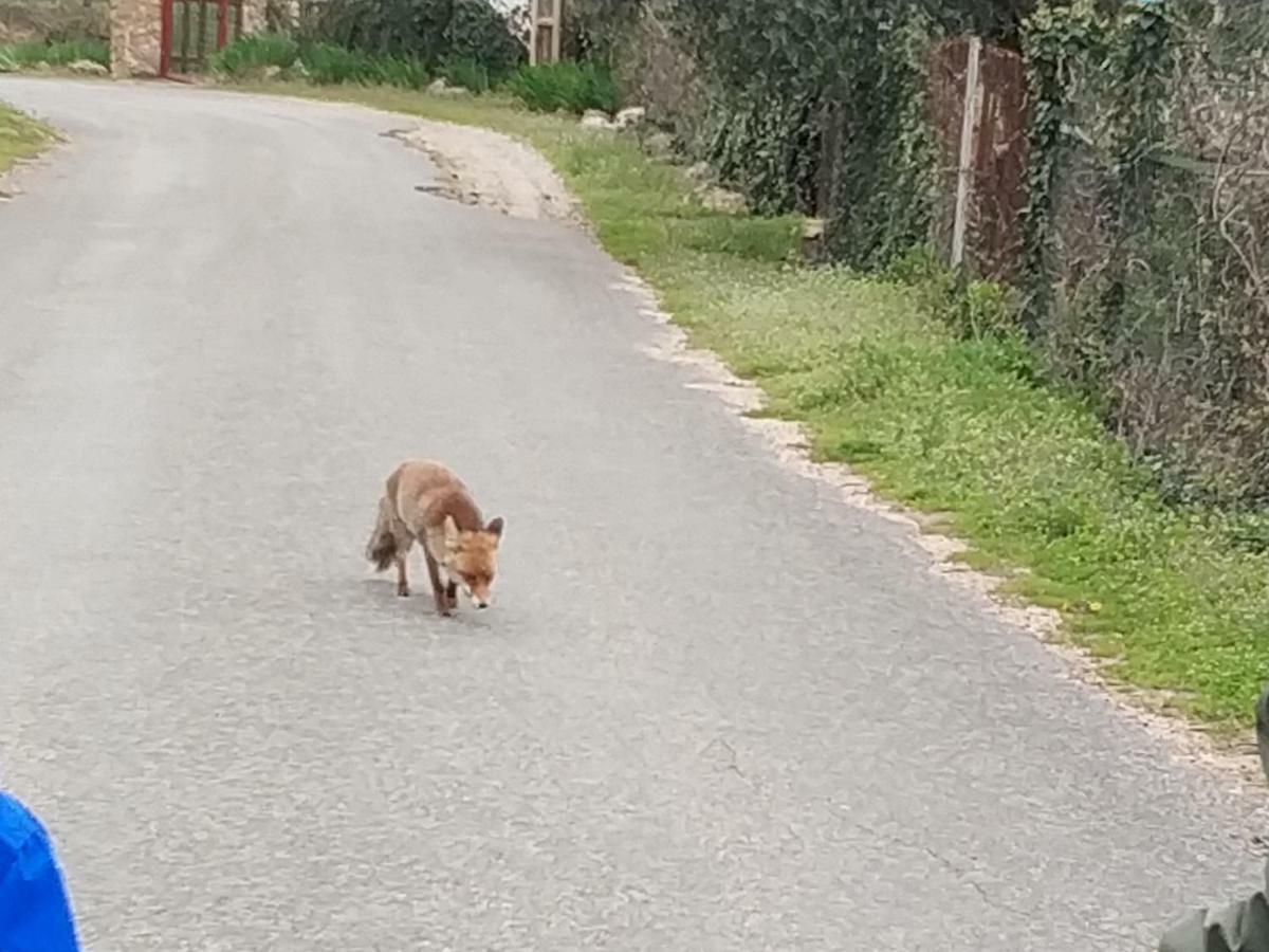 Casa Rural Arroyofrio Riopar Zewnętrze zdjęcie